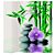 diaqua Textil-Duschvorhang «Spa», wasserabweisend, Wellness-Design, 180 x 180 cm