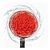 Brosse rotative Starlyf «Super Scrubber», avec système d'eau sous pression