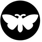 Seide Lv