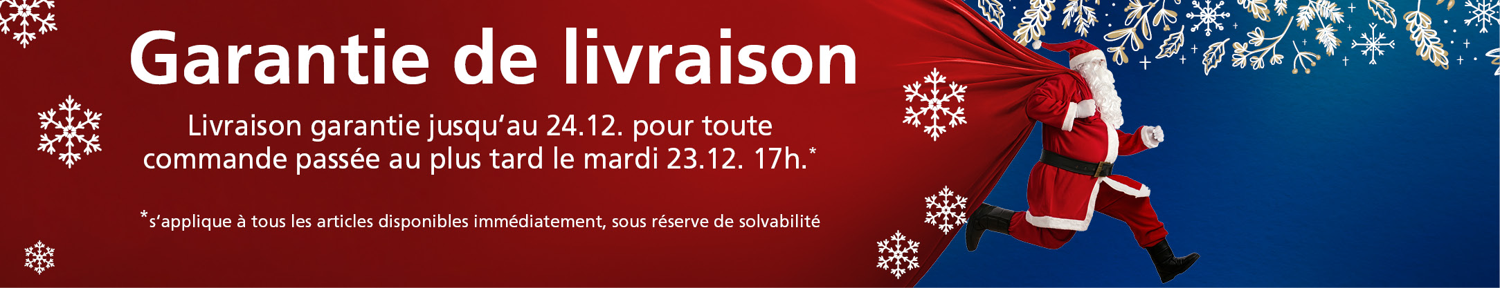 Garantie de livraison jusqu’à Noël
